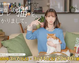 我收留了前男友的猫封面图