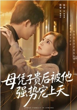 母凭子贵后被他强势宠上天封面图
