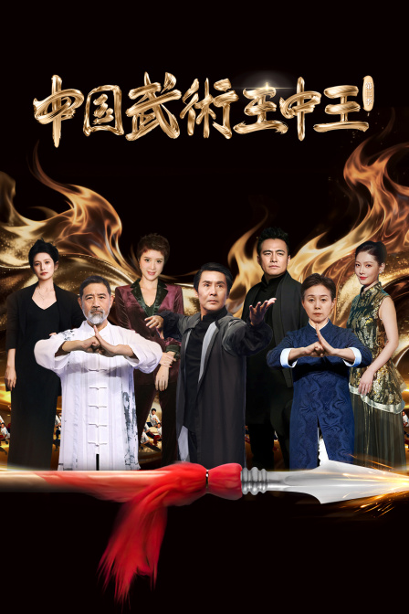 中国武术王中王2封面图