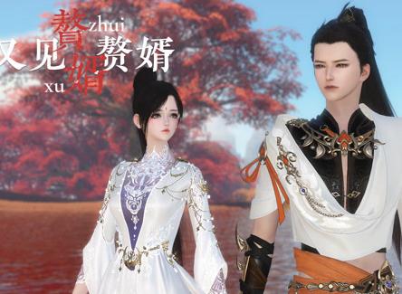 赘婿又见赘婿封面图