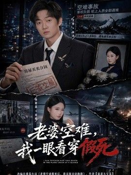 老婆空难，我一眼看穿假死封面图
