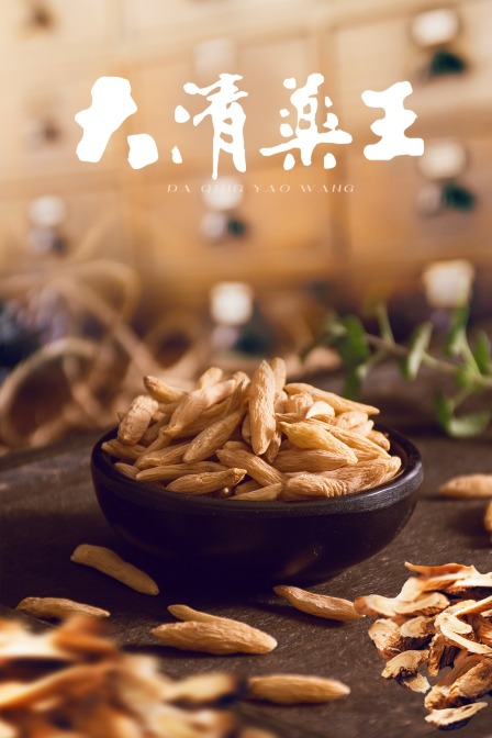 大清药王封面图