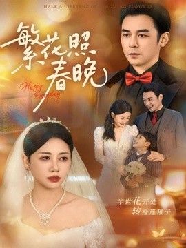 繁花照春晚封面图