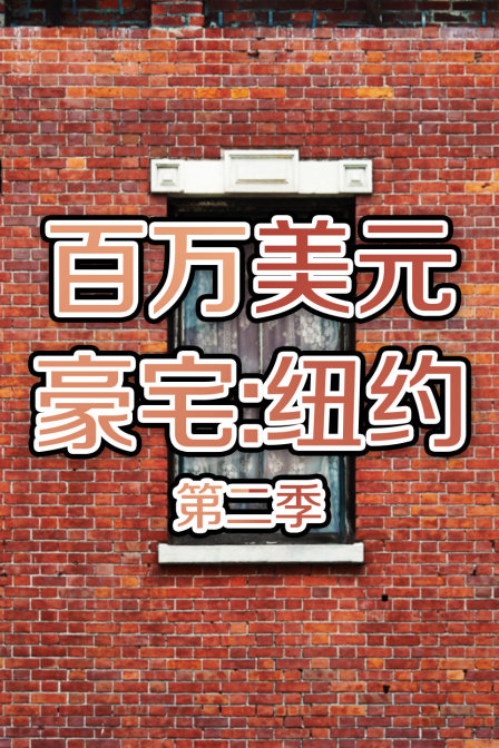 百万美元豪宅纽约2封面图