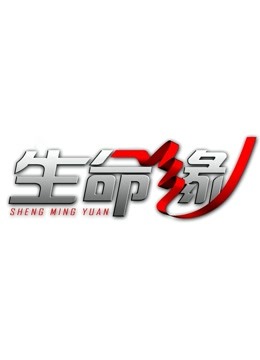 生命缘8封面图