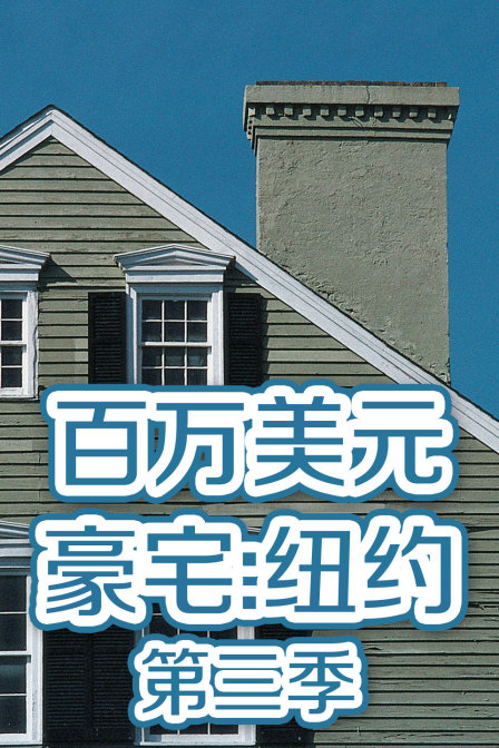 百万美元豪宅纽约3封面图