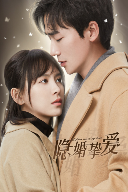 隐婚挚爱封面图