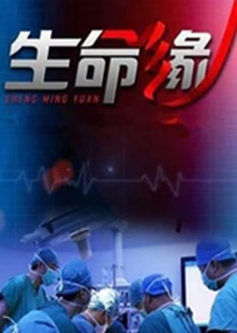 生命缘封面图