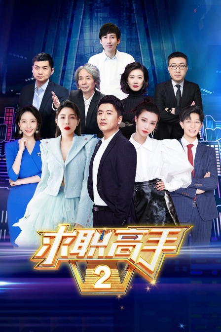 求职高手2封面图