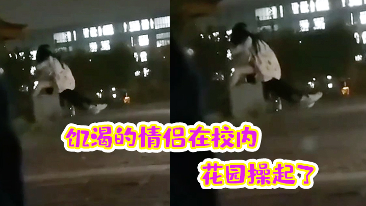 饥渴的情侣在校内花园操起了的封面图