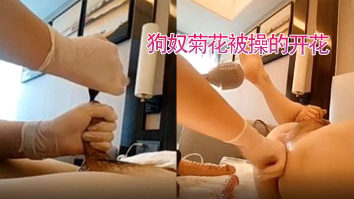 狗奴舔姨妈巾狗奴菊花被操的开花的封面图