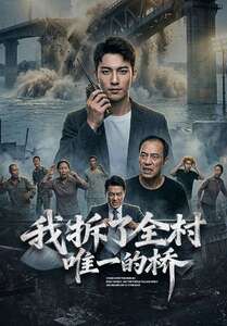 我拆了全村唯一的桥封面图