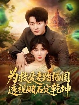 为救爱妻踏缅国透视赌石定乾坤封面图