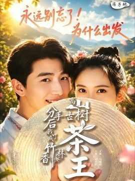 分手后我成了香竹林高山古树茶王封面图