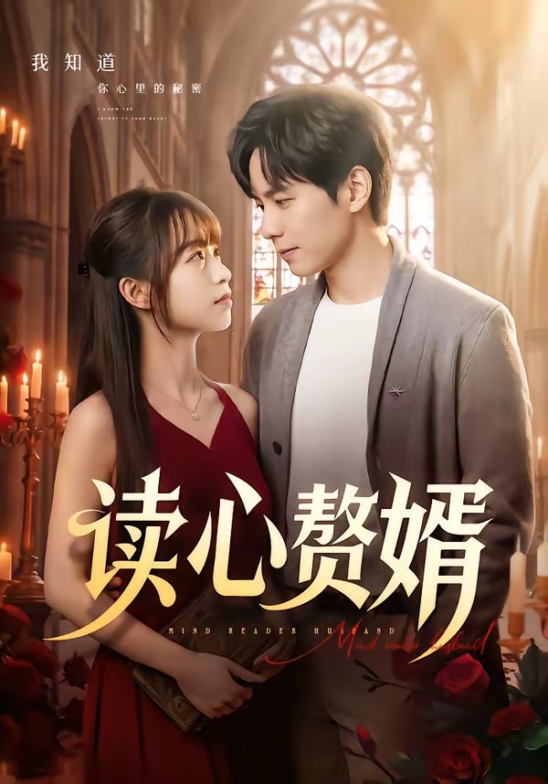 读心赘婿封面图