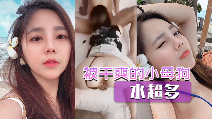 被干爽的小母狗水超多的封面图