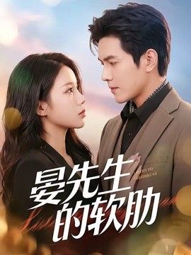 晏先生的软肋封面图