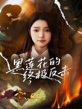 黑莲花的终极反击封面图