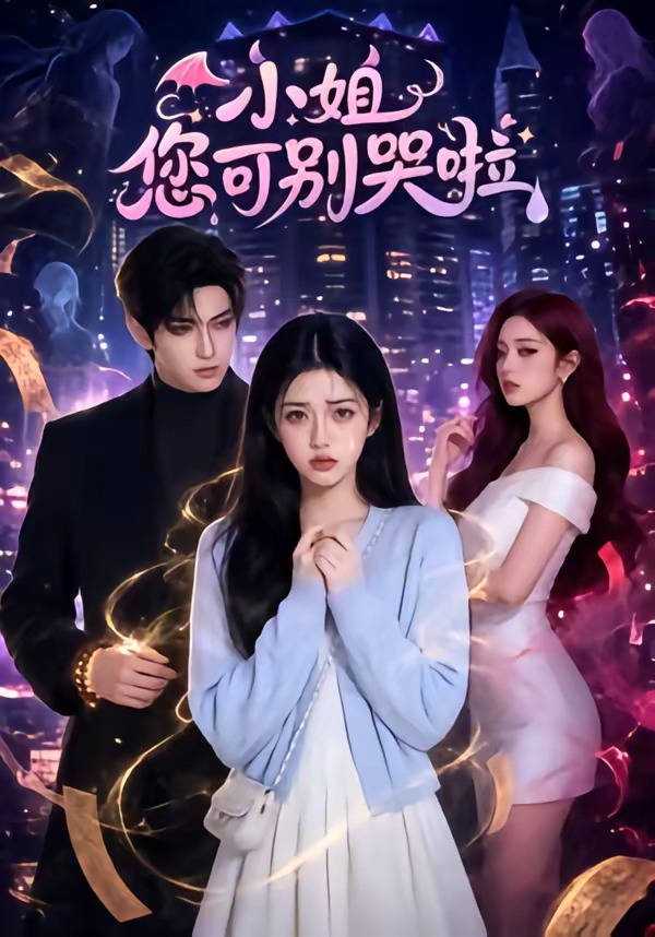 小姐您可别哭啦封面图