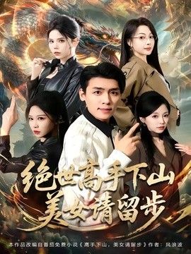 绝世高手下山，美女请留步封面图