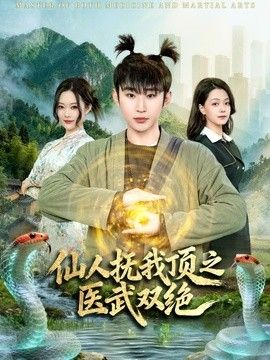 仙人抚我顶之医武双绝封面图